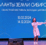Таланты земли Сибирской - Колыванский район