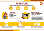 Профилактика бруцеллеза